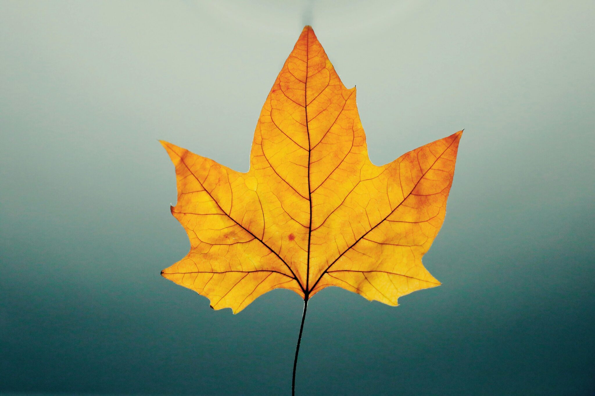 3D Druck Natur